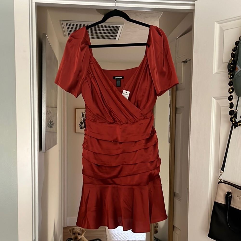 Express Rust-Red Satin Ruched Mini Dress